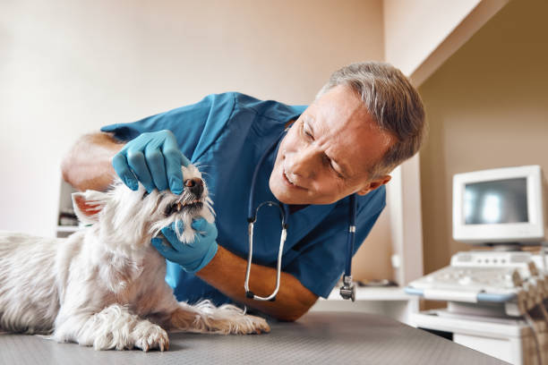 Best Emergency Tooth Extraction in Greenville, KY